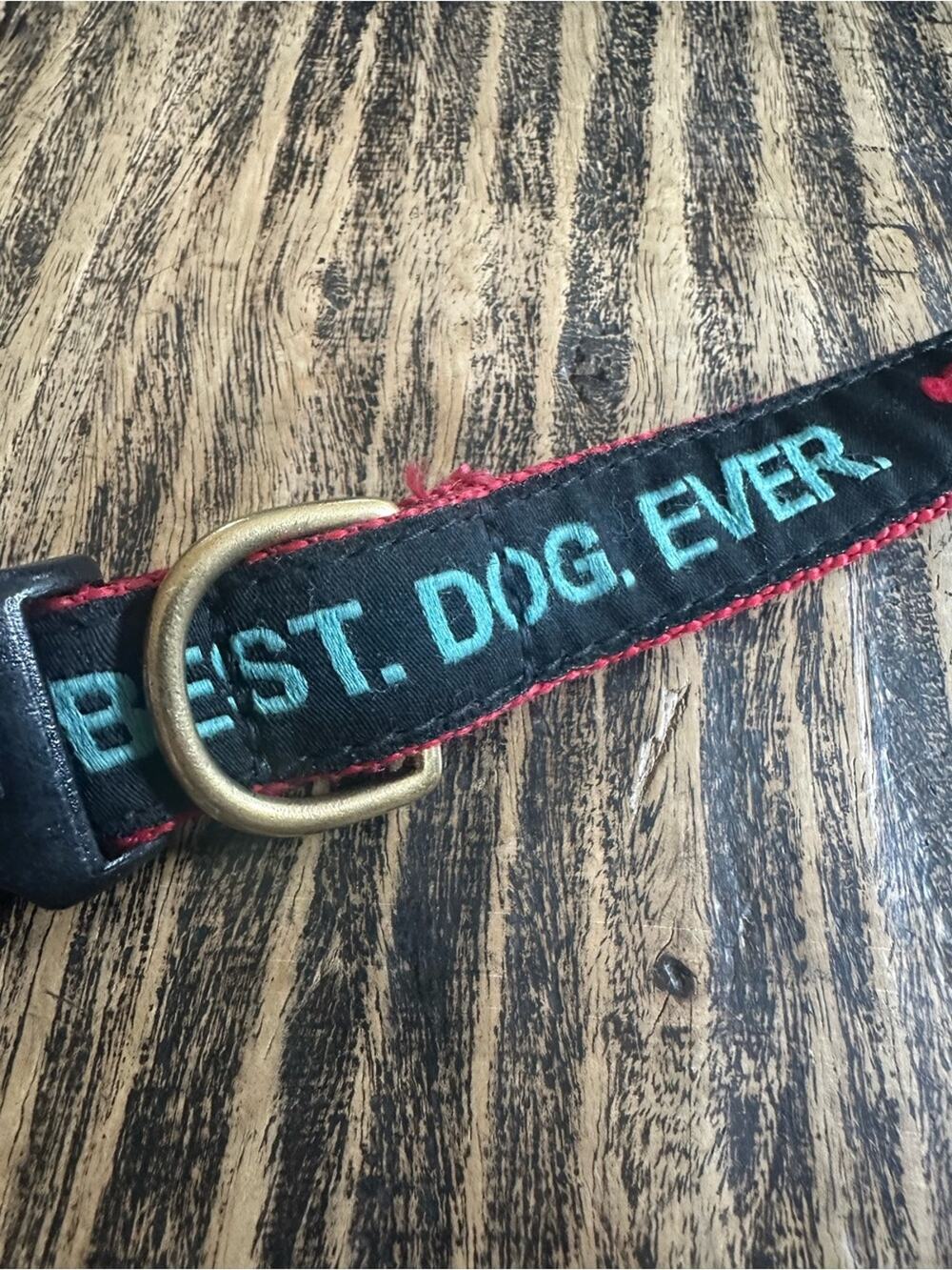 Vivacouture Black Collar with Teal Embroidered Text and Red Stitching